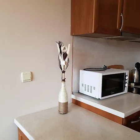 公寓 Edelweiss 20 班斯科